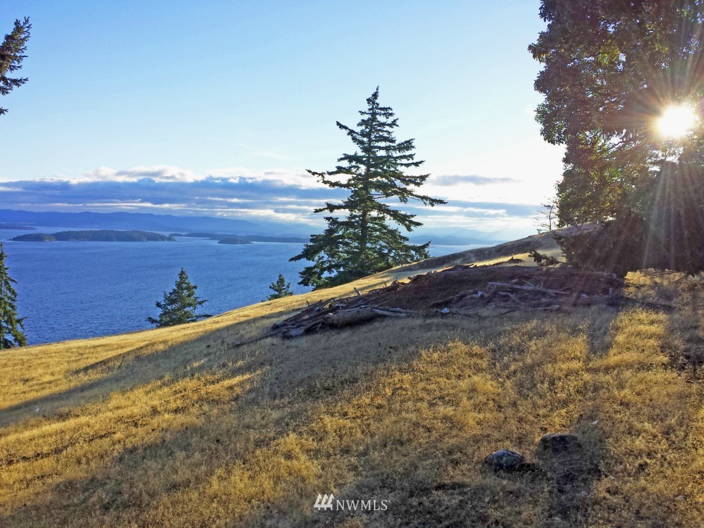 -xxx Lighthouse Road Friday Harbor, WA 98250 - Photo 1 of 5 Gallery Image 1