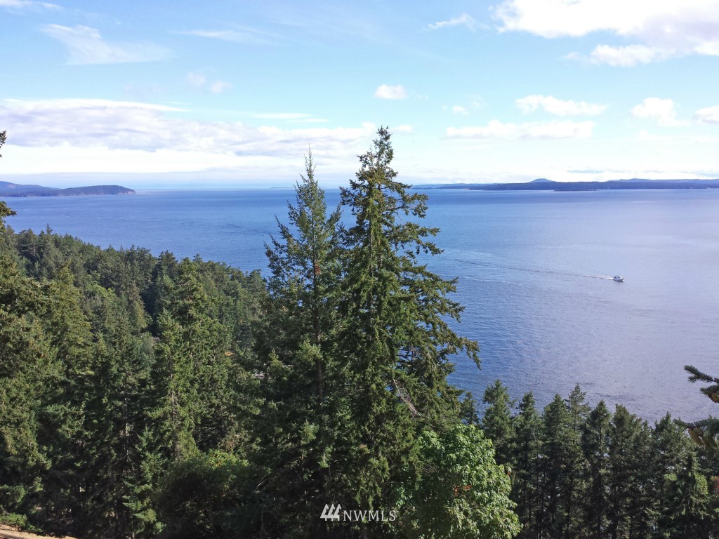 -xxx Lighthouse Road Friday Harbor, WA 98250 - Photo 2 of 5 Gallery Image 2