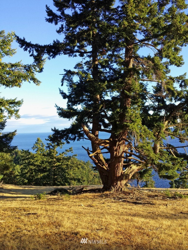 -xxx Lighthouse Road Friday Harbor, WA 98250 - Photo 3 of 5 Gallery Image 3