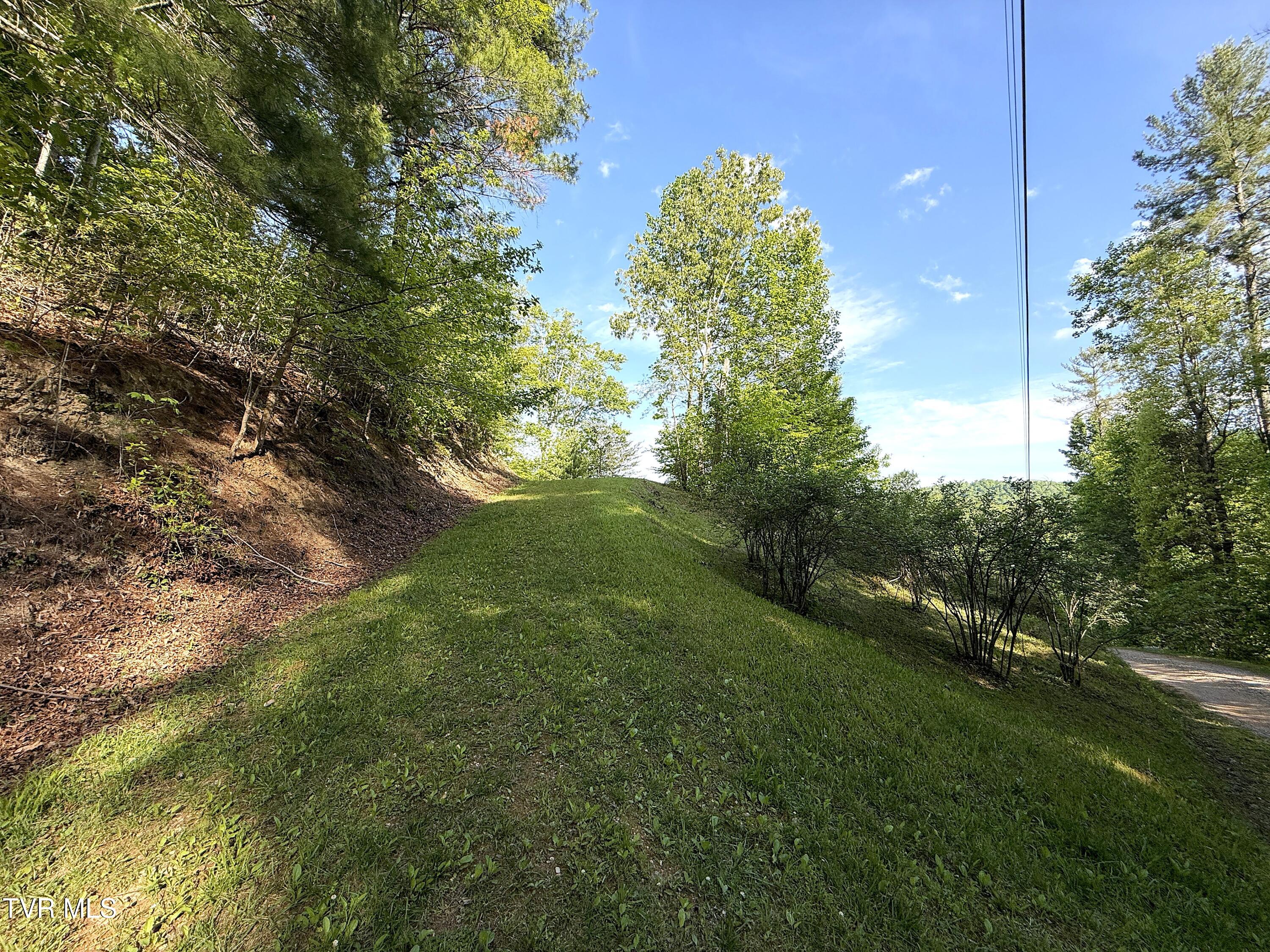 844 Ortagus Way Del Rio, TN 37727 - Photo 37 of 50 37