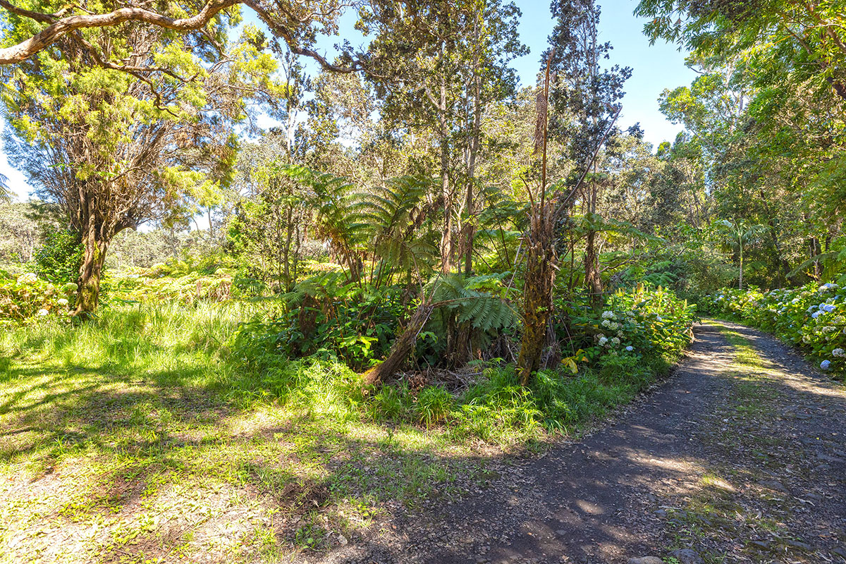 150 Lot Volcano, HI 96785 - Photo 7 of 12 Gallery Image 7