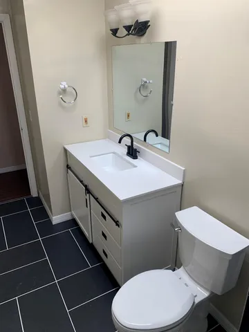 a bathroom with a sink a toilet a mirror and vanity