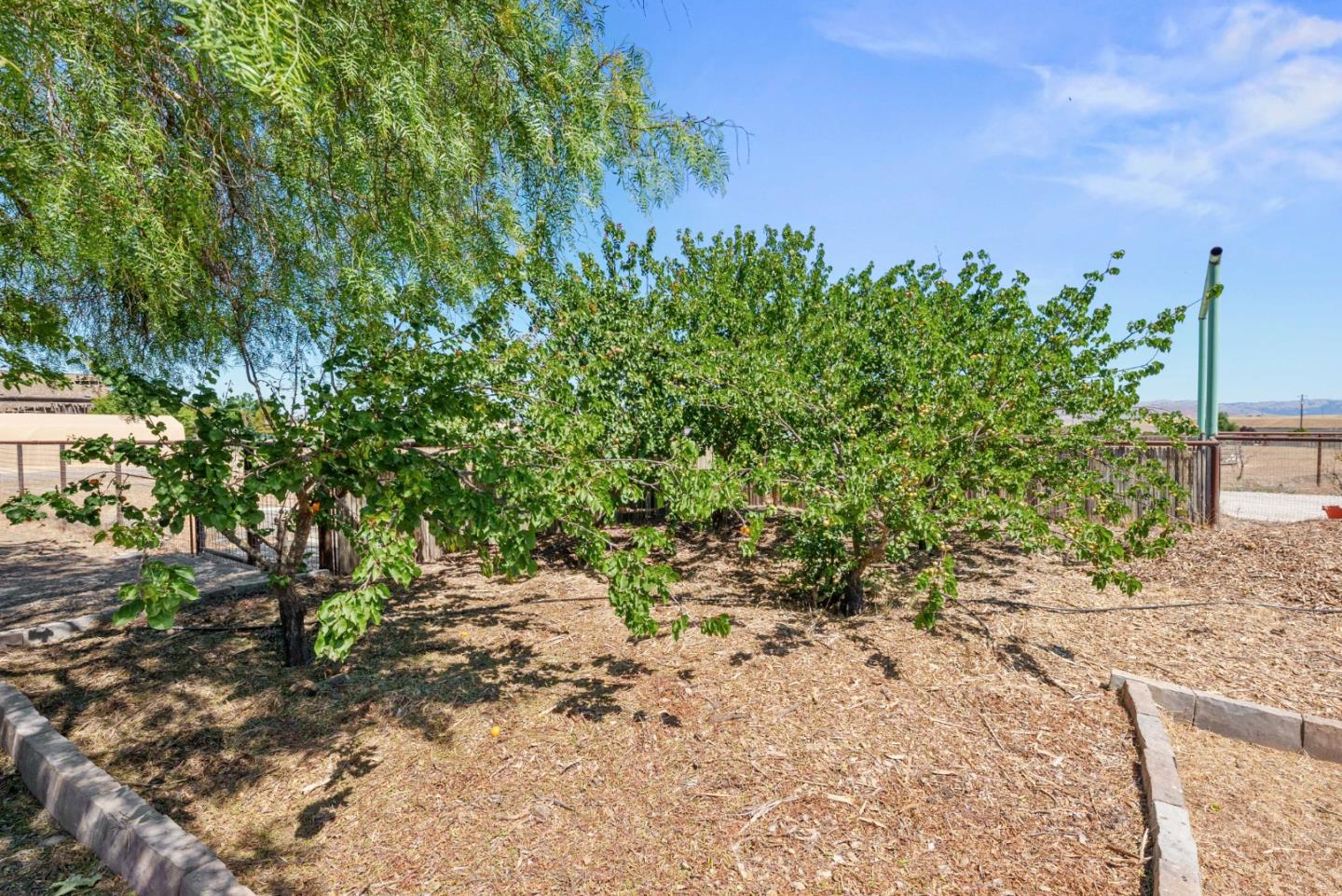 1150 Wright Road Hollister, CA 95023 - Photo 21 of 68