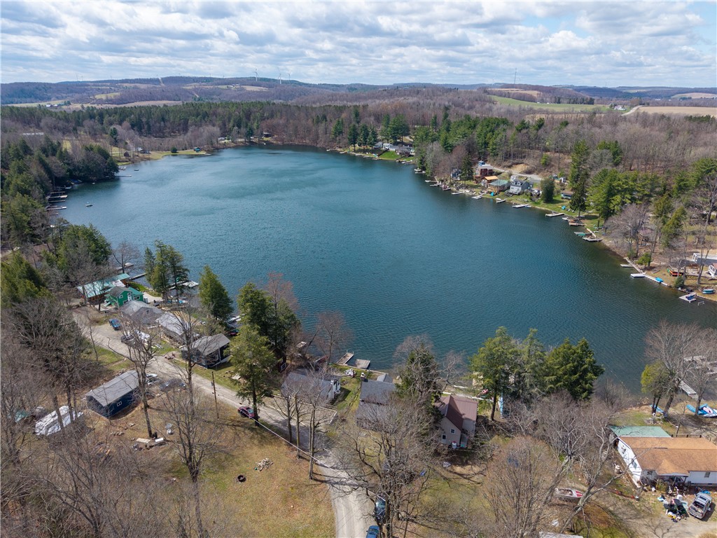 9125 East Shore Road Bath, NY 14810 - Photo 41 of 42