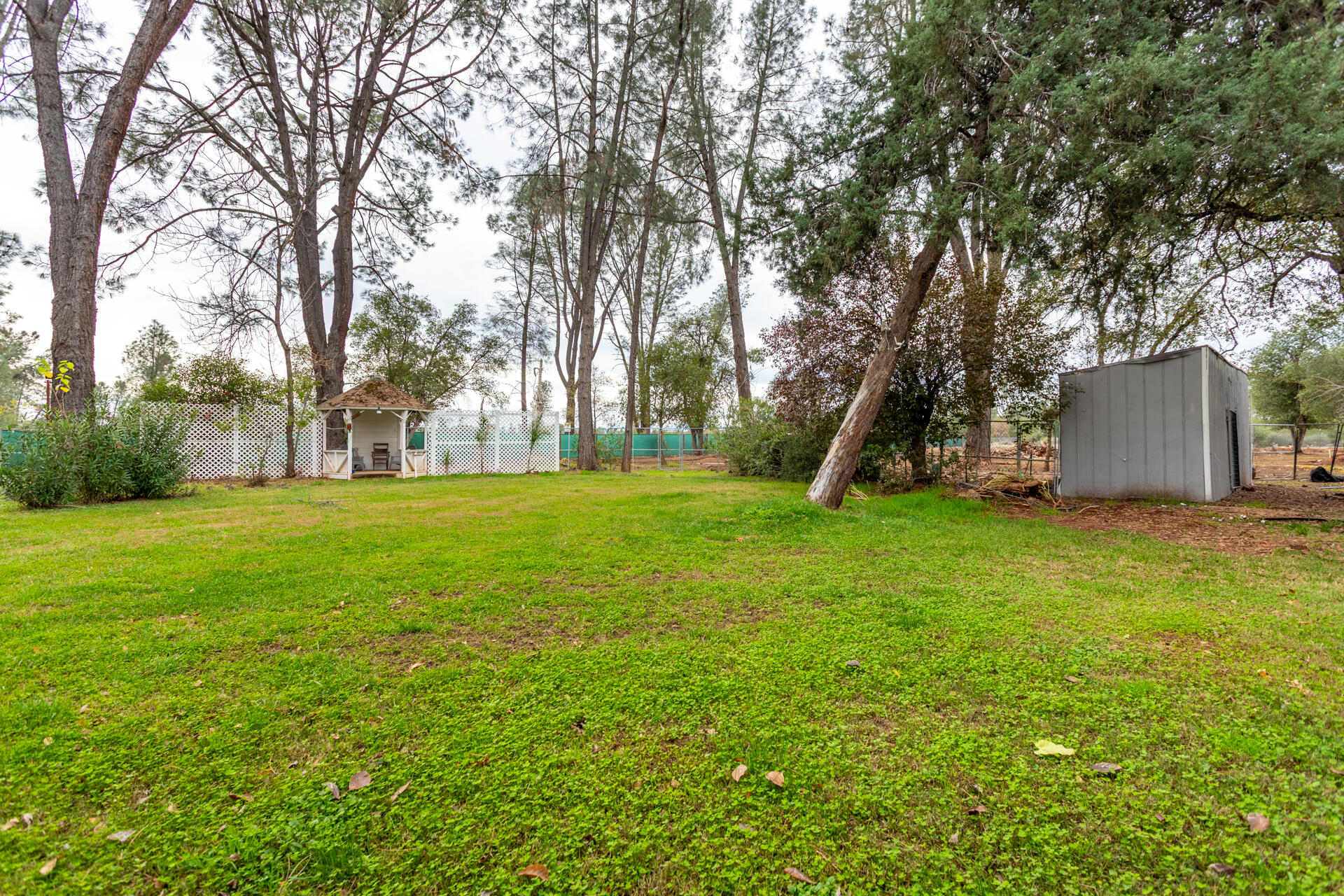 6188 Happy Valley Road Anderson, CA 96007 - Photo 14 of 58 a view of a backyard with large trees