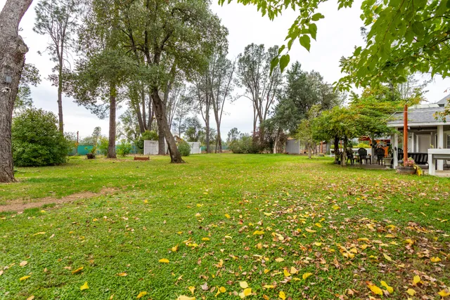 a view of a yard in front of a house with large tree