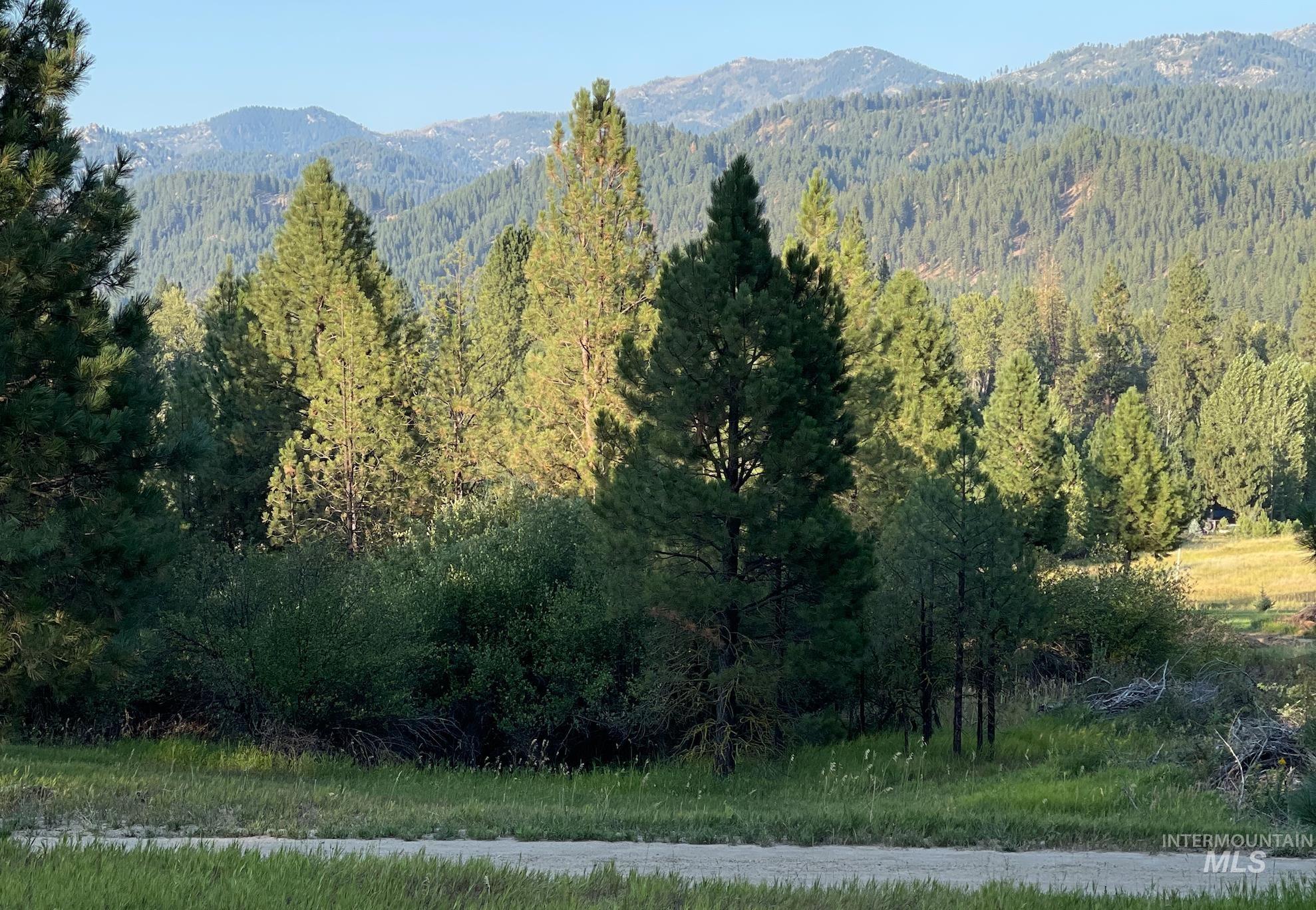 27 Pine Tree Ranch Garden Valley, ID 83622 - Photo 13 of 14 Mountain view featuring a forest