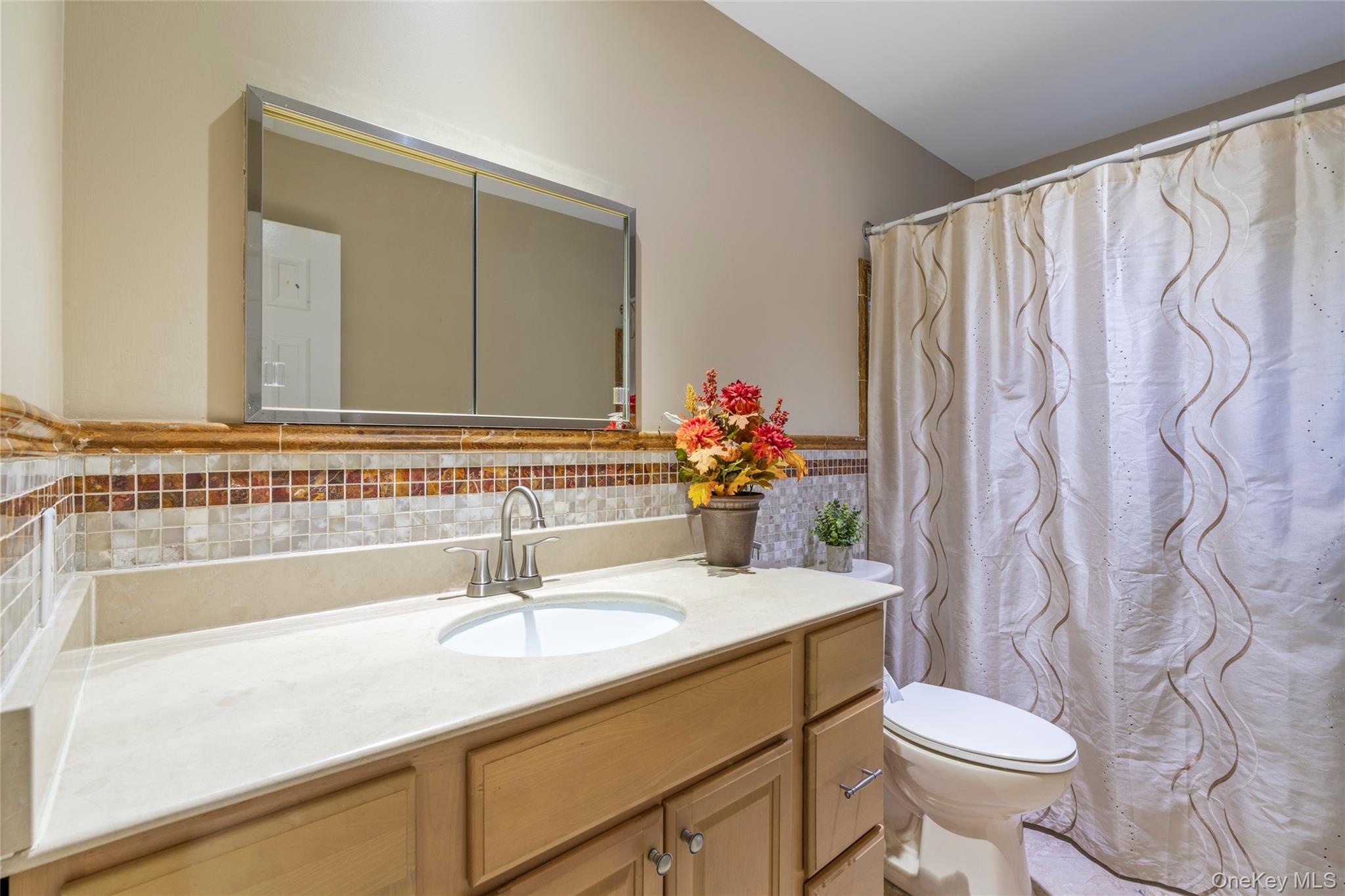 258 Half Hollow Road Dix Hills, NY 11746 - Photo 36 of 45 a bathroom with a sink a toilet and a mirror