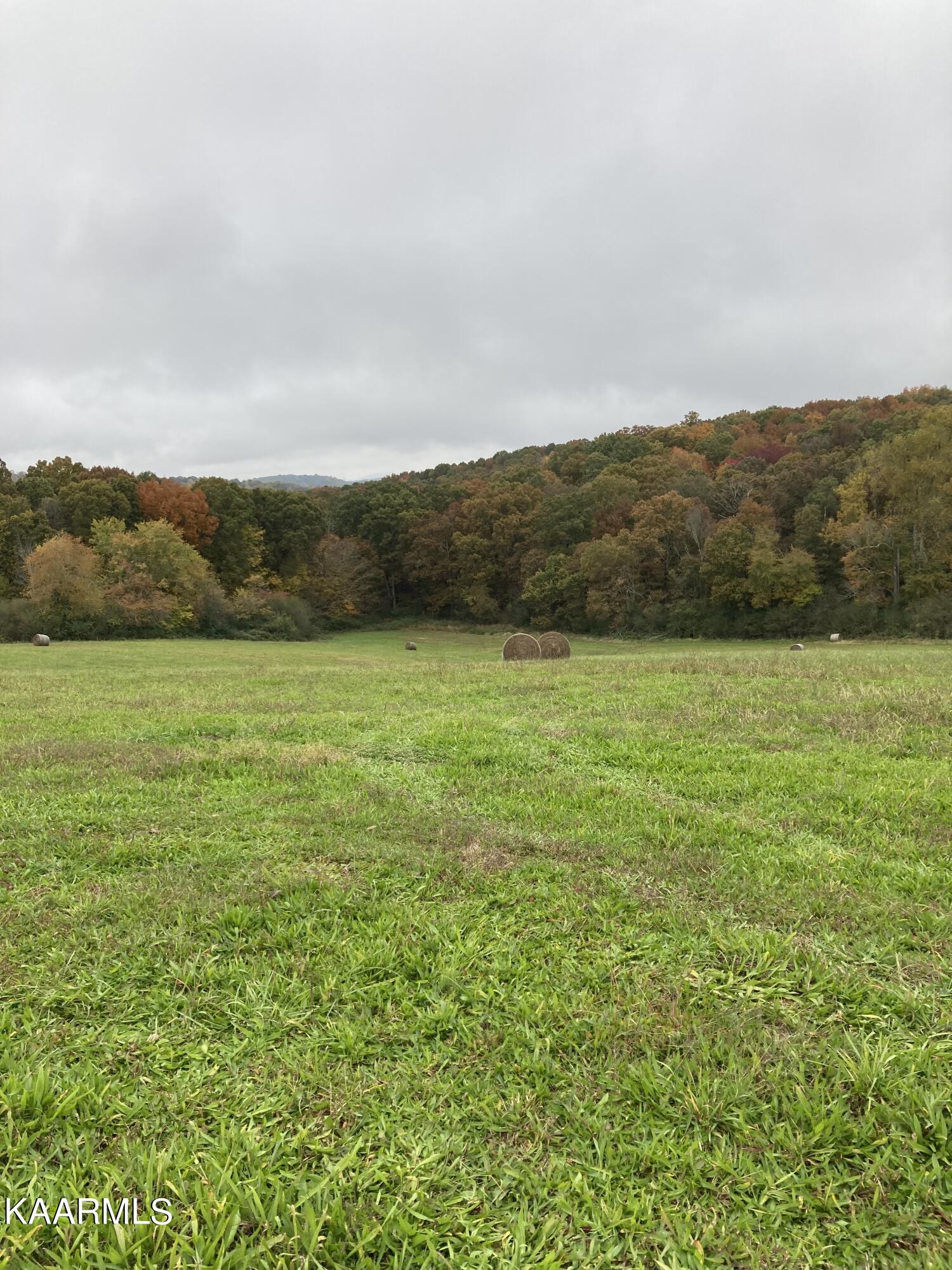 Blue Springs Road Sweetwater, TN 37874 - Photo 22 of 36 018