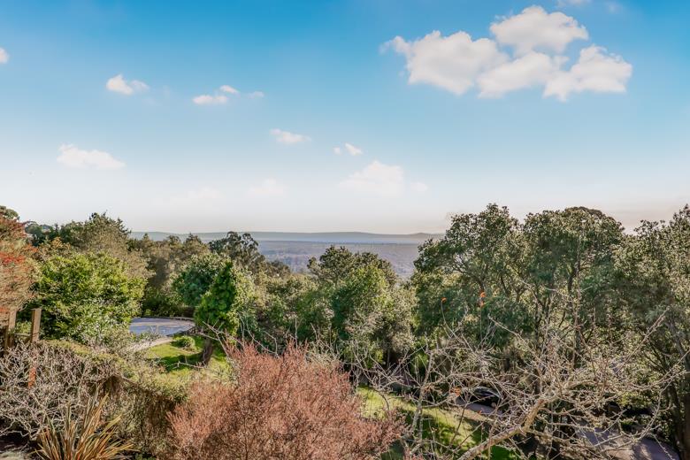 11 Senior Avenue Berkeley, CA 94708 - Photo 38 of 38 a view of a lake