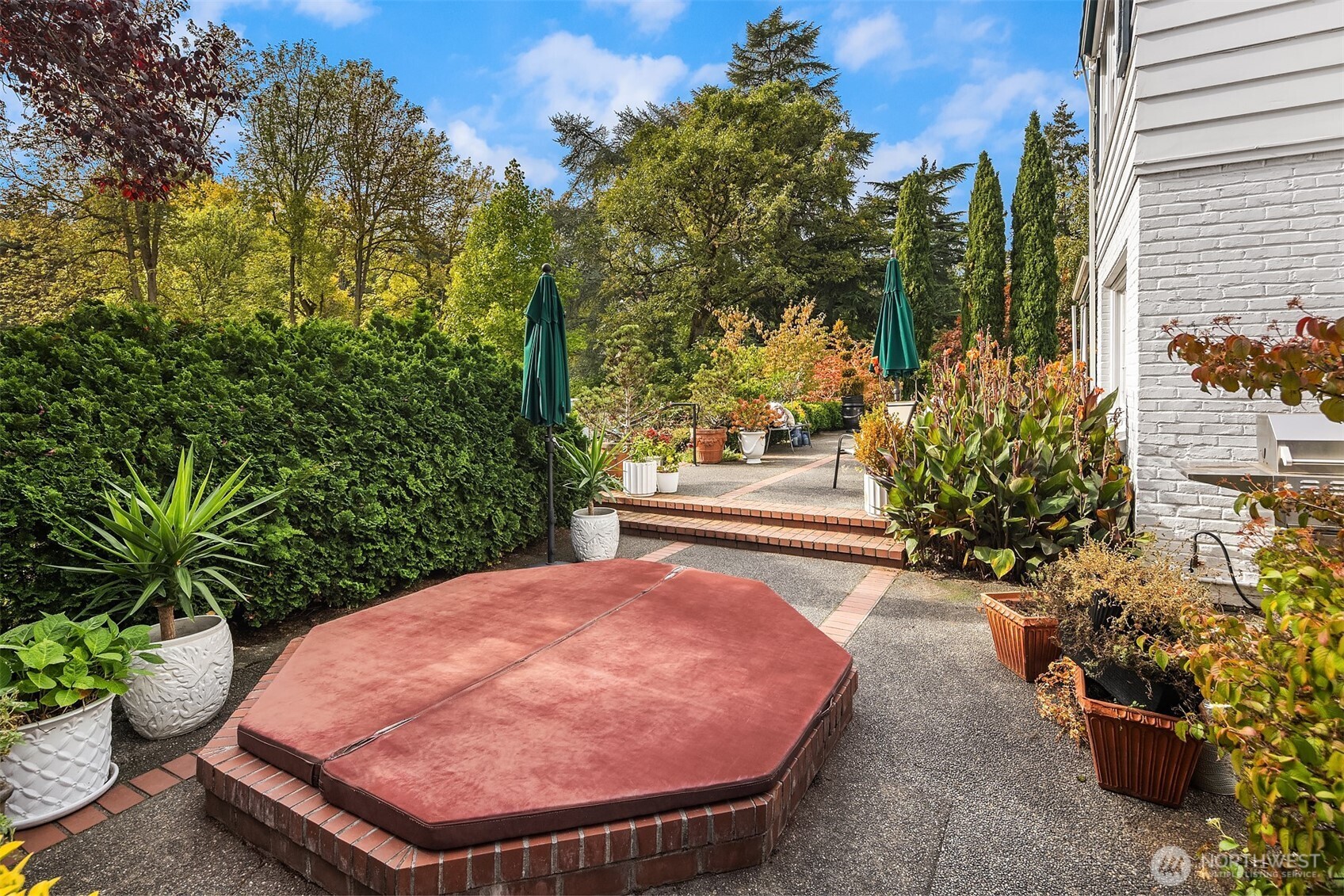 5525 Northeast Penrith Road Seattle, WA 98105 - Photo 31 of 36 a view of a backyard with plants and a patio