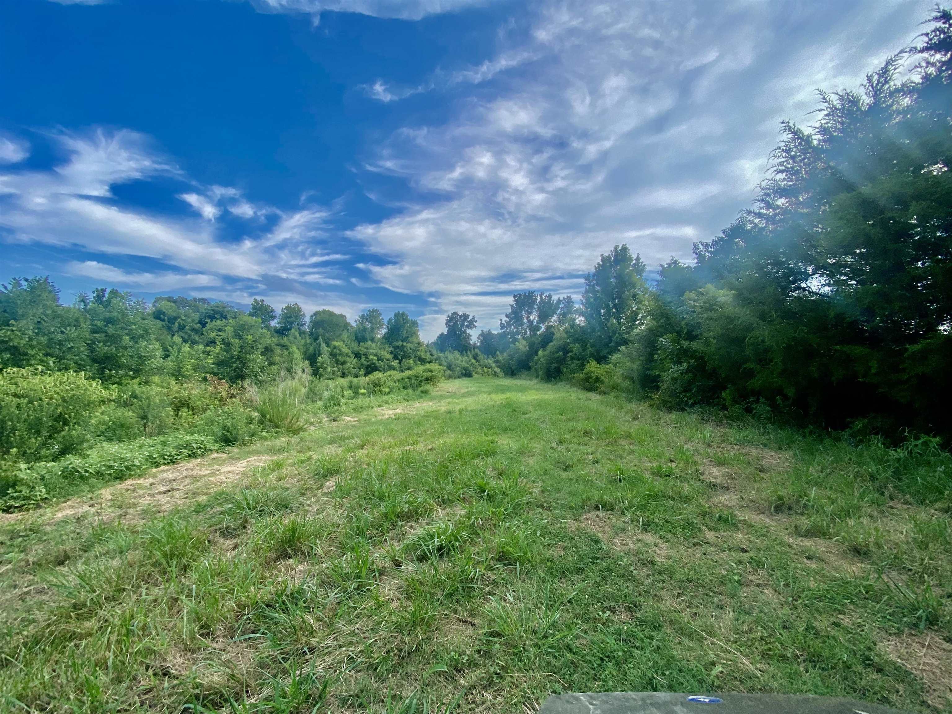 112.15-acres Allen Road Williston, TN 38076 - Photo 5 of 38 Gallery Image 5