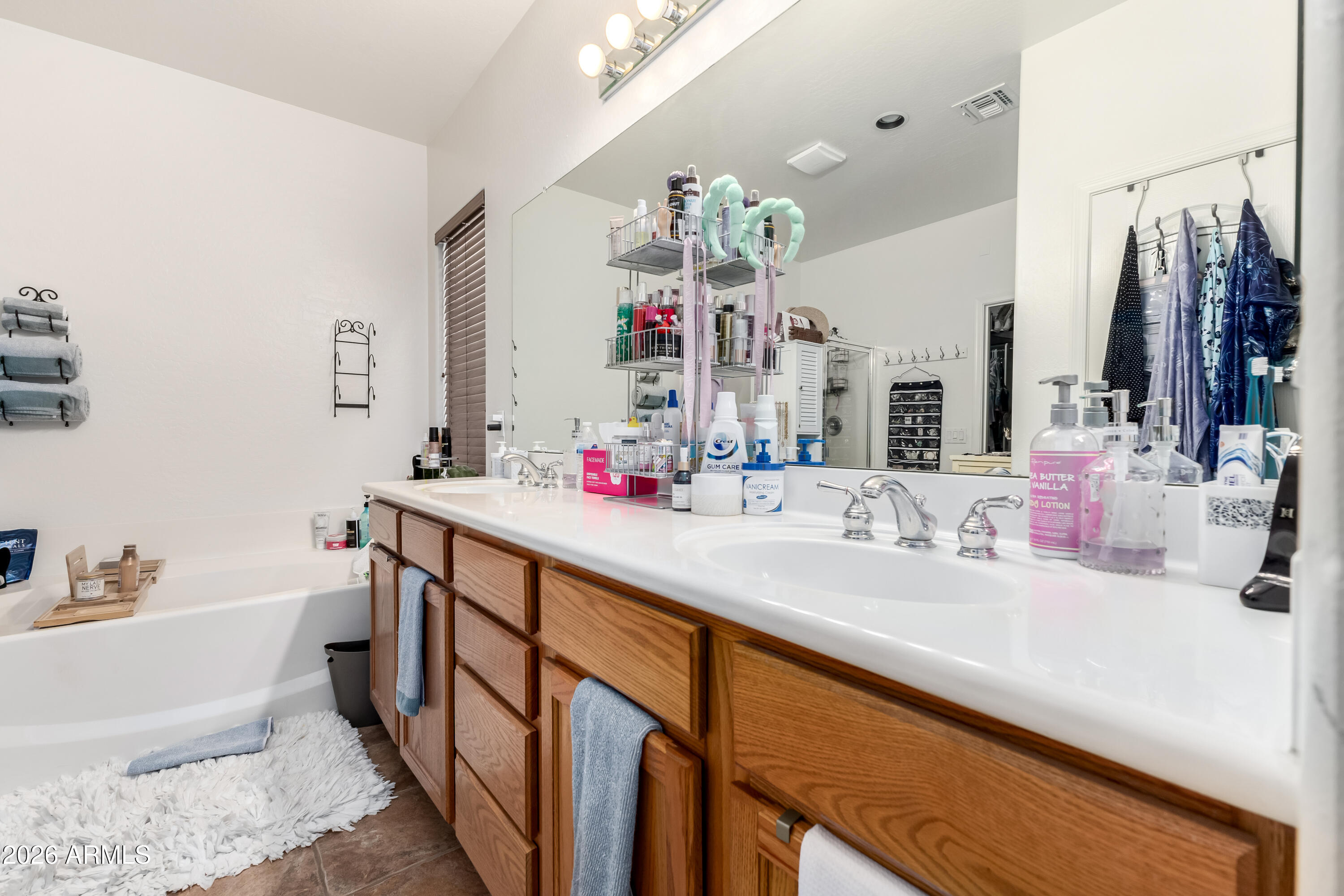 3256 East Geronimo Court Gilbert, AZ 85295 - Photo 42 of 53 a bathroom with a double vanity sink mirror and bathtub