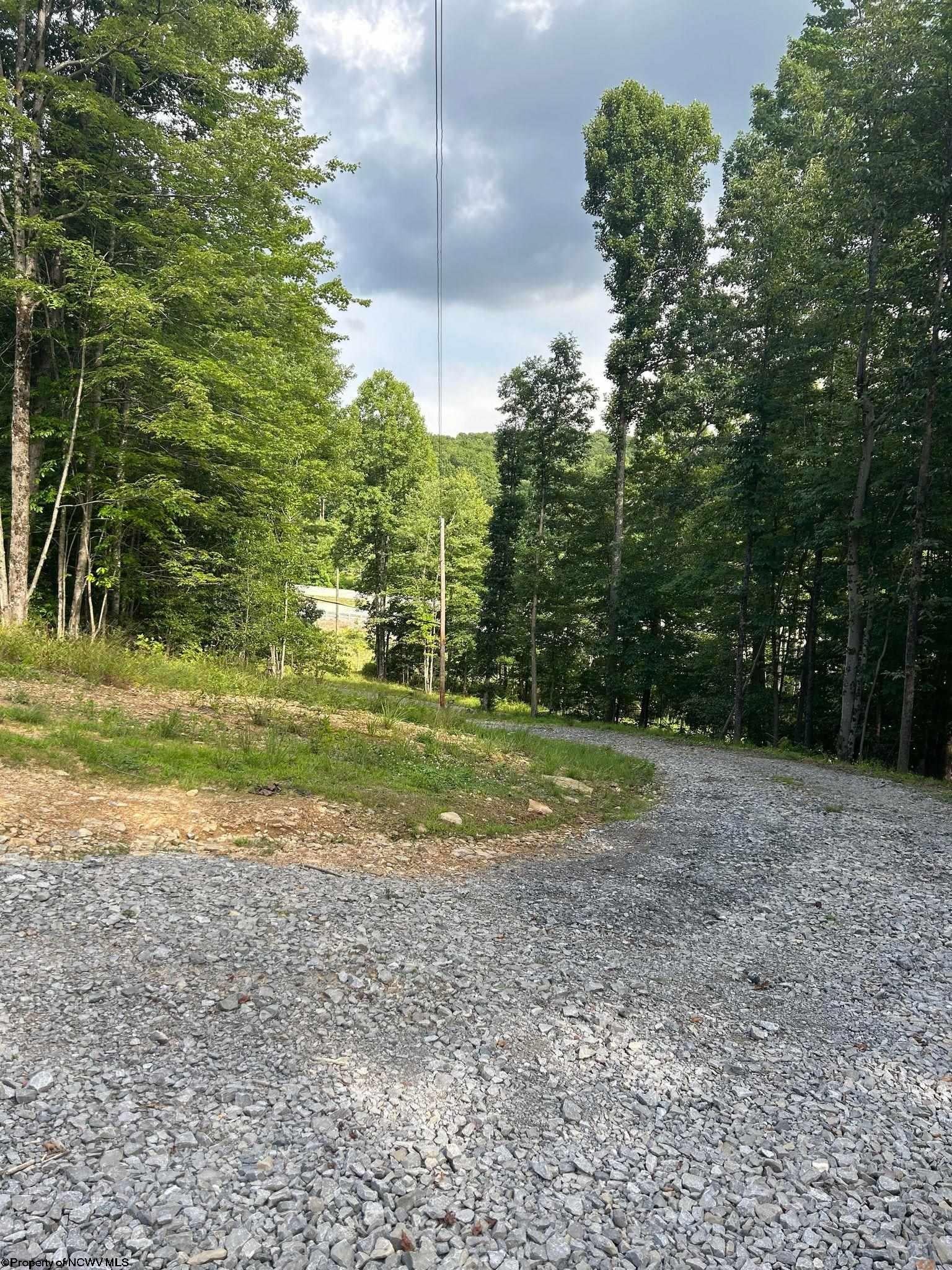 483 Derico Road Ellamore, WV 26267 - Photo 6 of 22 Gallery Image 6