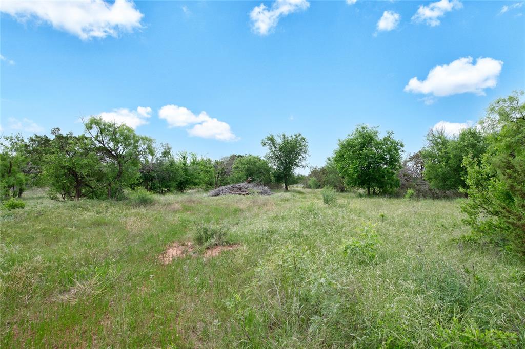 117 Buchanan Road Abilene, TX 79606 - Photo 36 of 40 a view of a green field