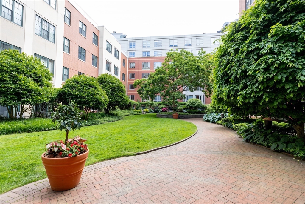 20 Second Street, Unit 222 Cambridge, MA 02141 - Photo 26 of 38 a view of a back yard of the house and a garden