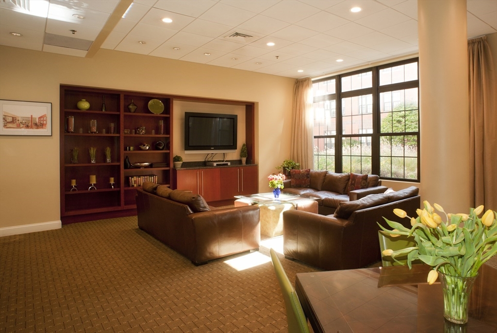20 Second Street, Unit 222 Cambridge, MA 02141 - Photo 28 of 38 a living room with furniture and a flat screen tv