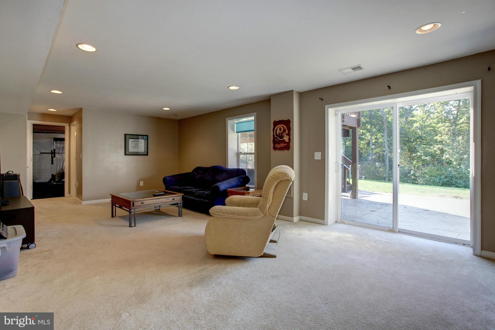 53 Riggs Road Fredericksburg, VA 22405 - Photo 23 of 30 Large Entertainment Room with Walk-out