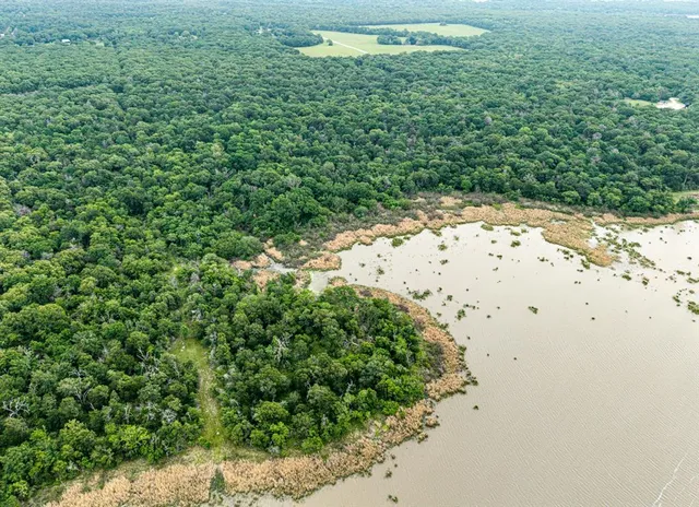 a view of a backyard of a house