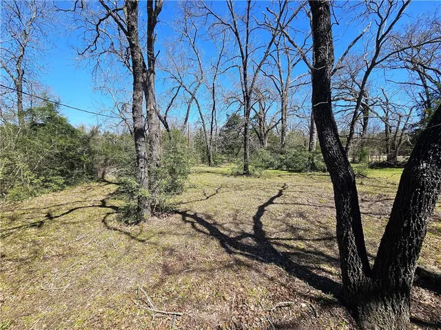 a view of a field with an trees