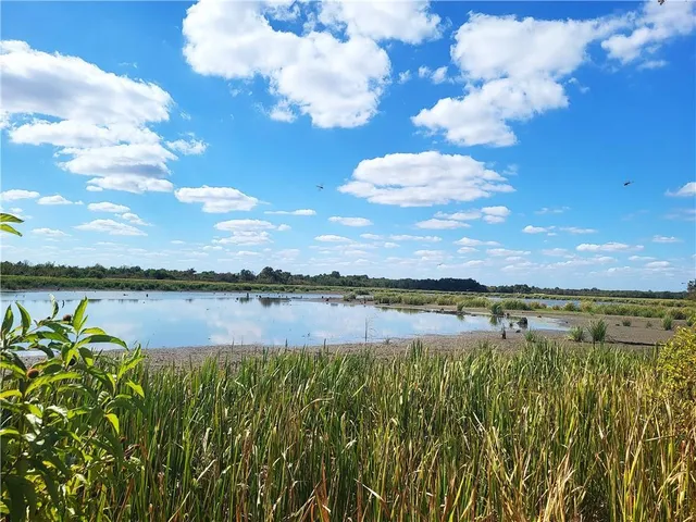 a big yard with lots of green space