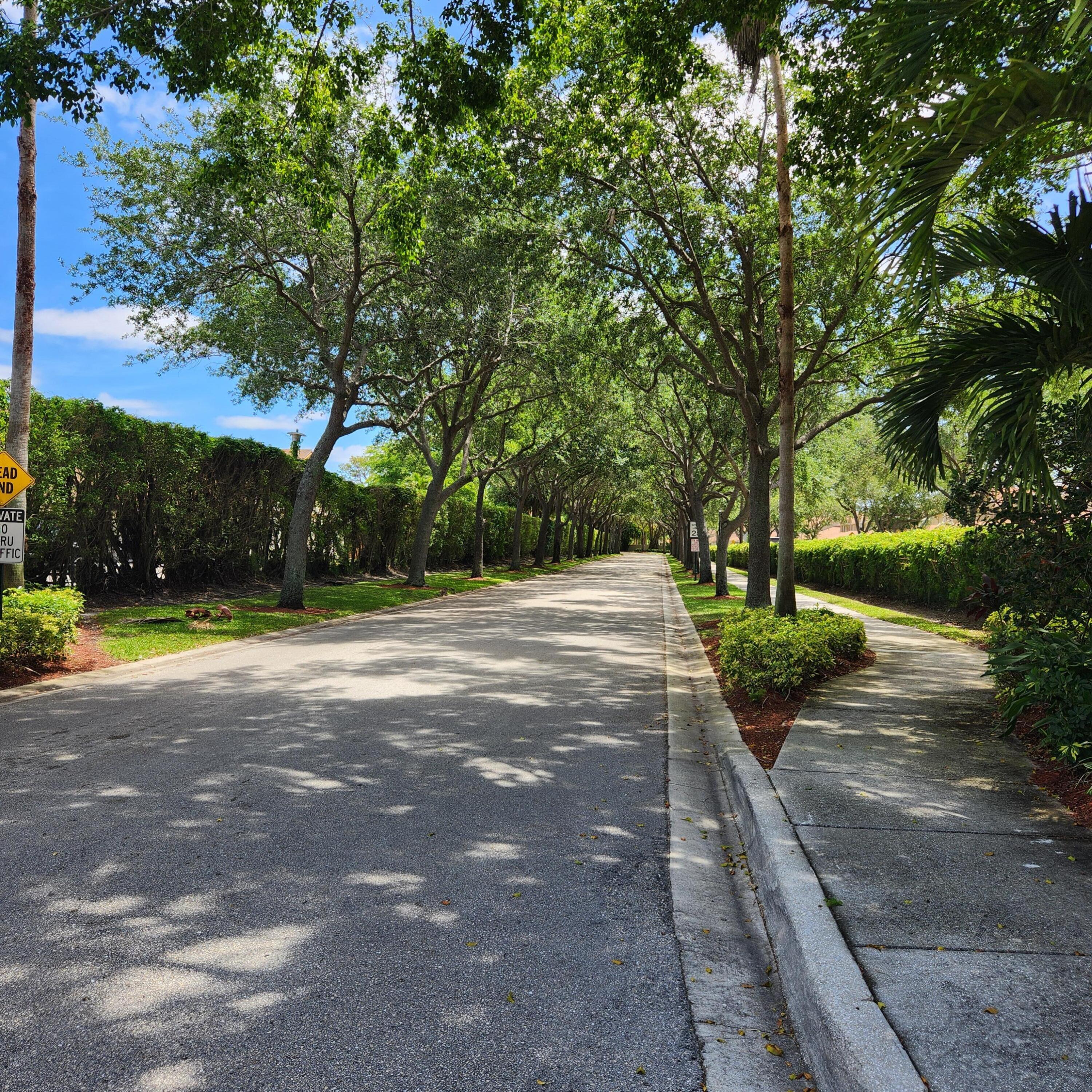 1103 Woodfield Road Greenacres, FL 33415 - Photo 35 of 44 Shaded drive