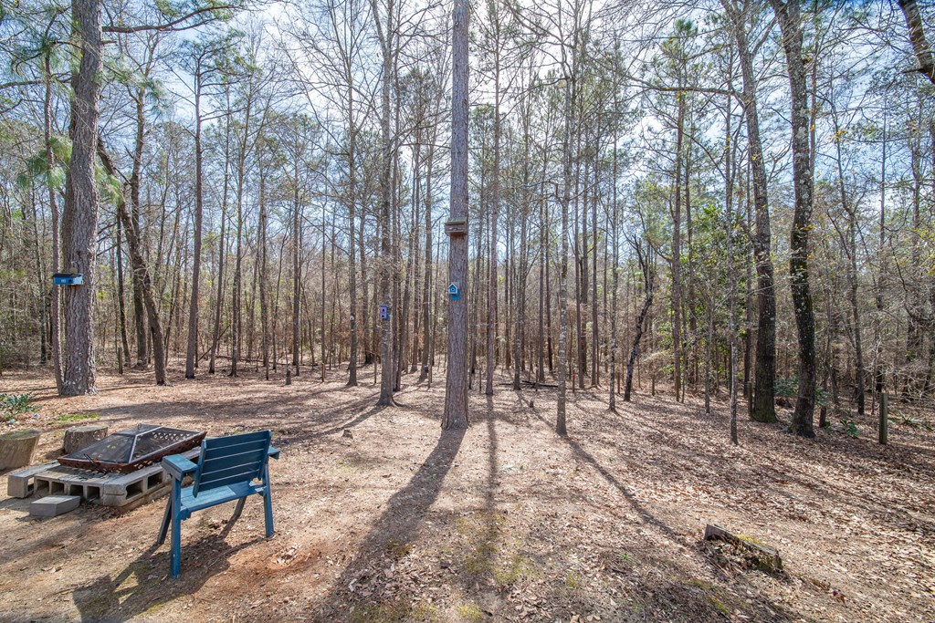 72 Lee Road Phenix City, AL 36870 - Photo 37 of 41 Gallery Image 37