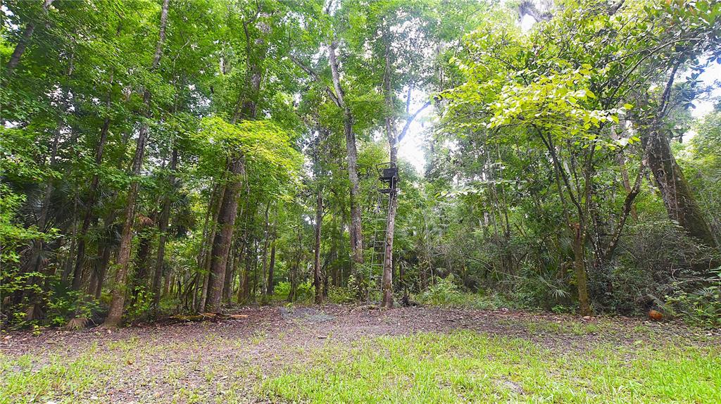 Volco Road Edgewater, FL 32141 - Photo 16 of 17