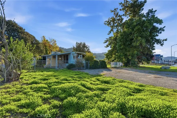 a view of a big yard with plants and large trees