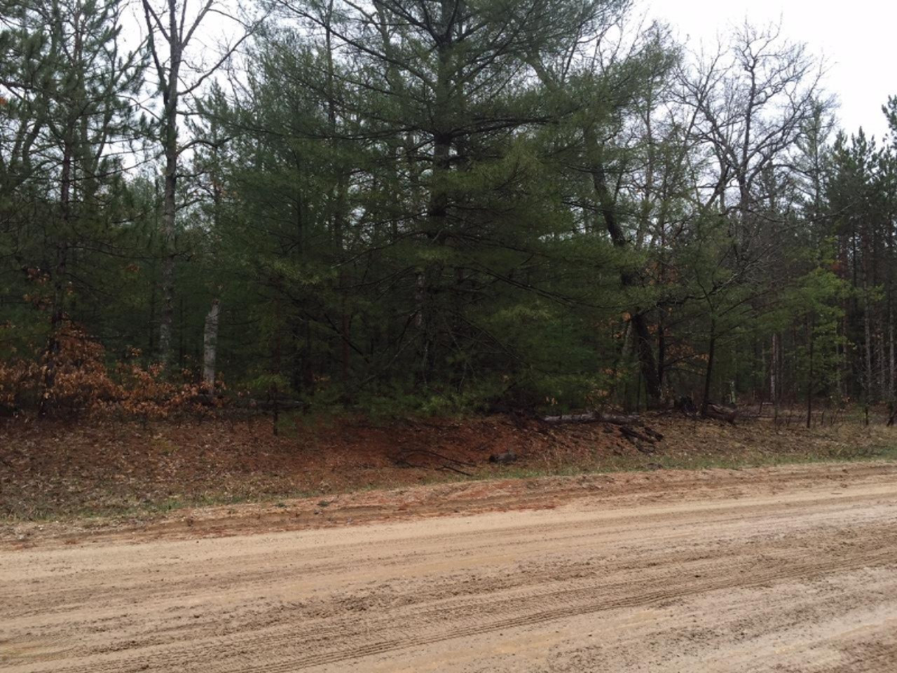Parcel A Chalker Road Wellston, MI 49689 - Photo 2 of 4 IMG_1054