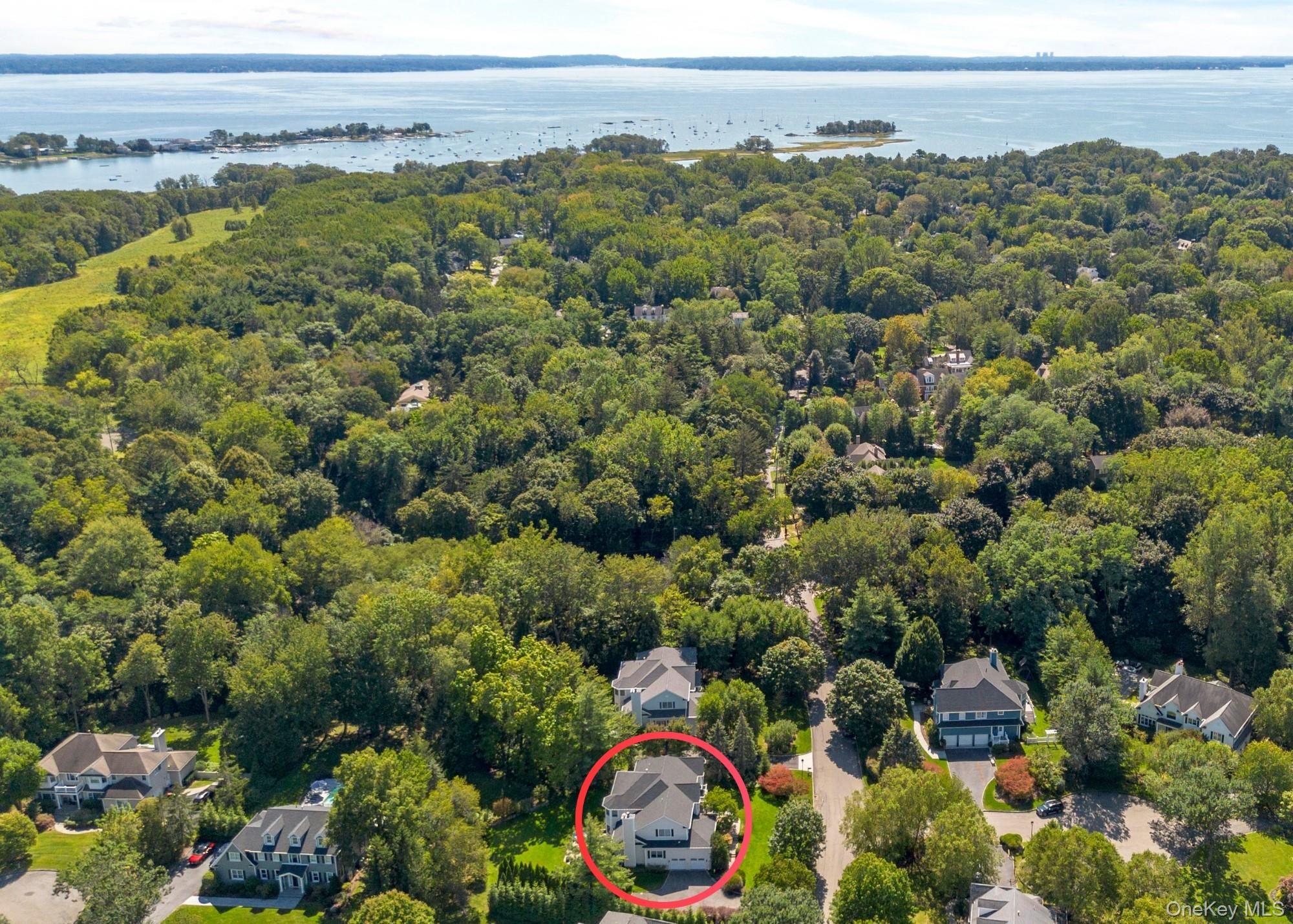 4 Johnson Place Rye, NY 10580 - Photo 5 of 44 Spacious and bright modern colonial in the Preserve at Rye, a sought after neighborhood with tree-lined streets