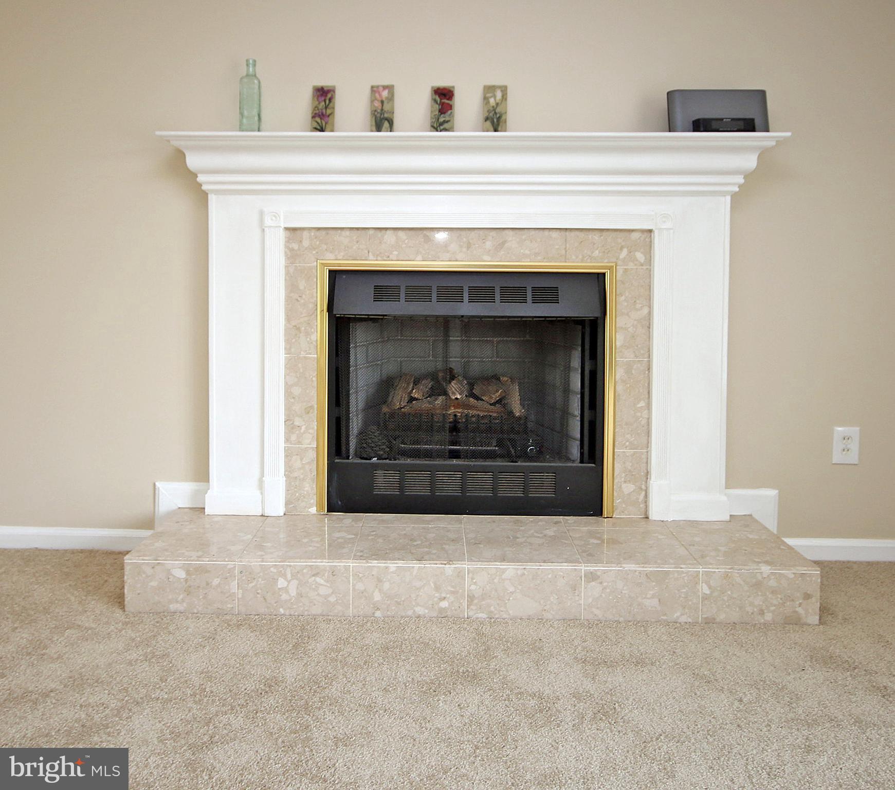 14308 South Springfield Road Brandywine, MD 20613 - Photo 4 of 26 Great Room Fire Place