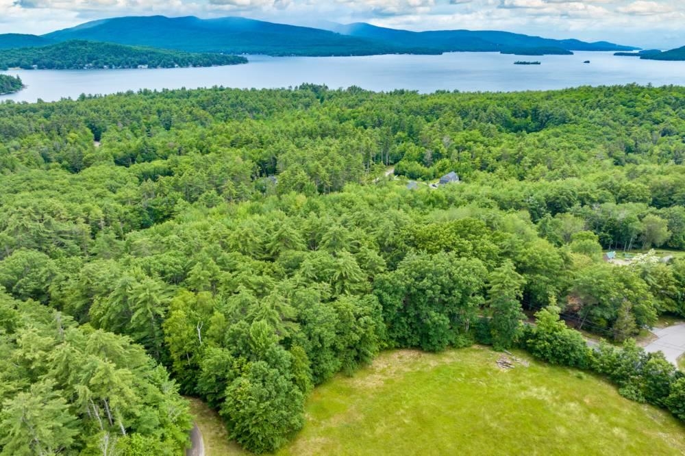 0 Clay Point Road, Unit 21/7/4/0 Alton, NH 03809 - Photo 3 of 3