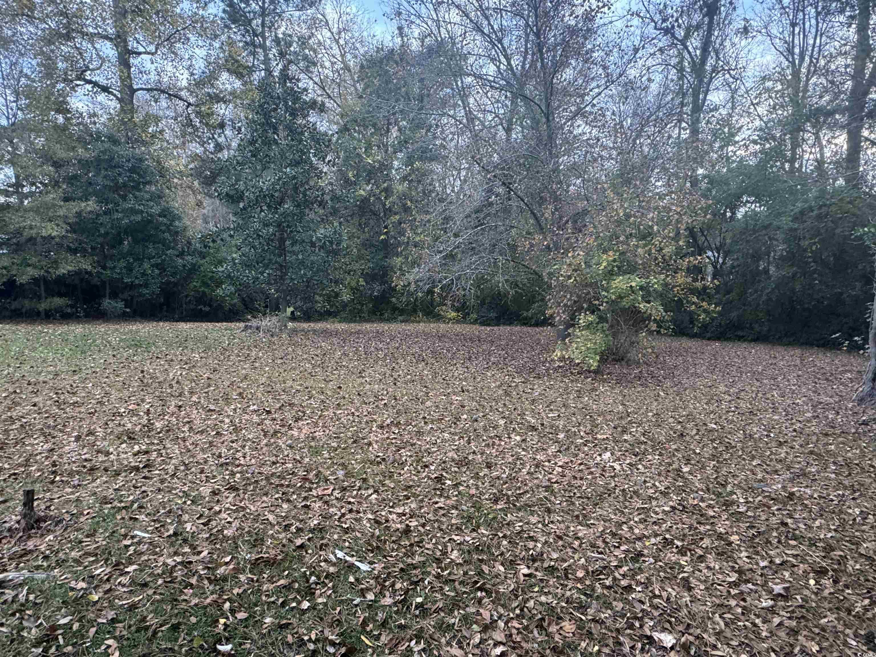1320 Horseshoe Road Mullins, SC 29574 - Photo 10 of 22 Rear view of property with brick siding and roof with shingles