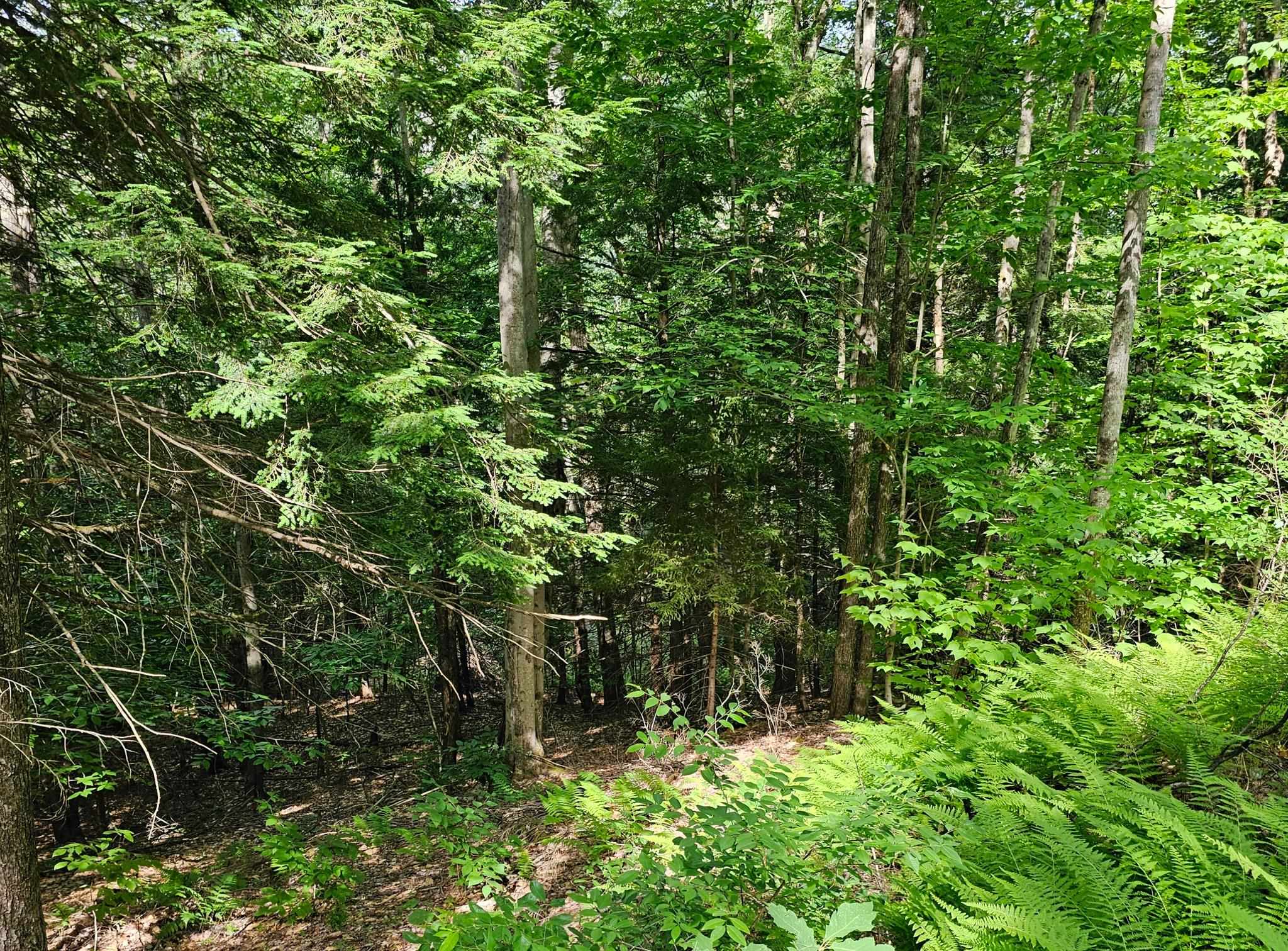1338 Davidson Hill Road Westminster, VT 05346 - Photo 3 of 27