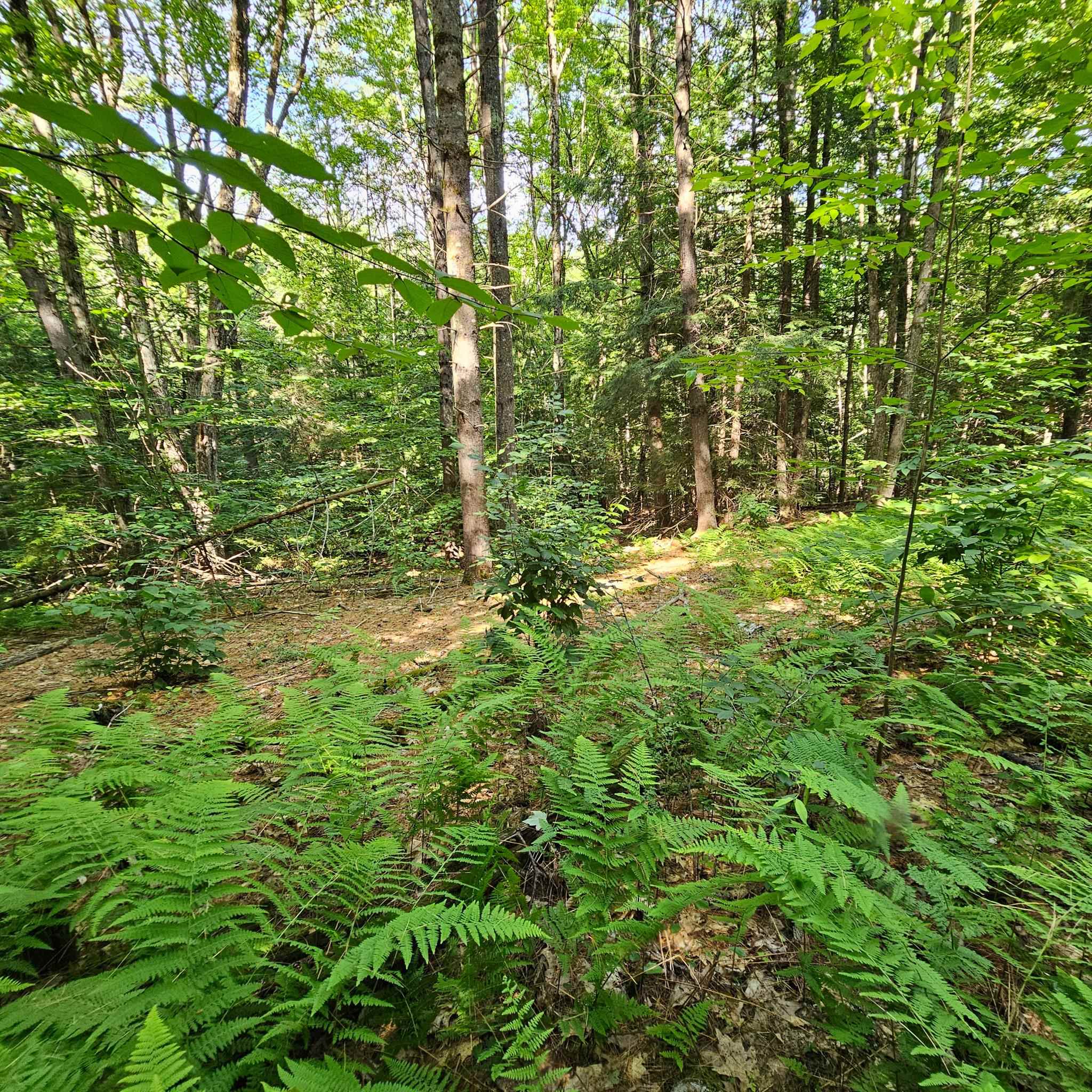 1338 Davidson Hill Road Westminster, VT 05346 - Photo 5 of 27