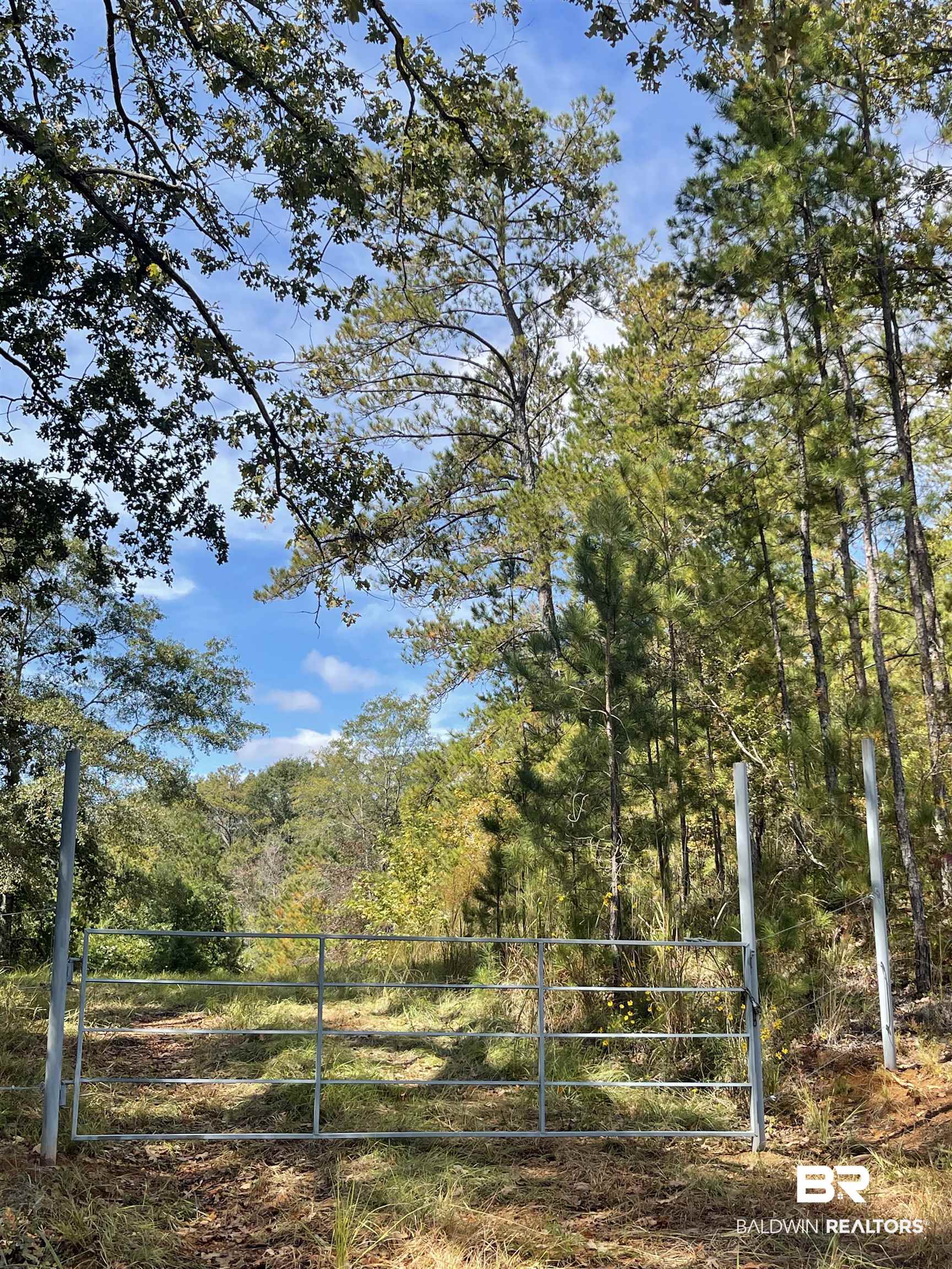0 CCC Trail McKenzie, AL 36456 - Photo 3 of 5
