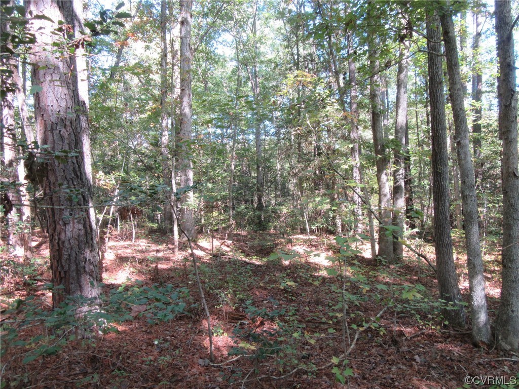 139-a-17 Bell Road Yale, VA 23897 - Photo 1 of 12 Gallery Image 1