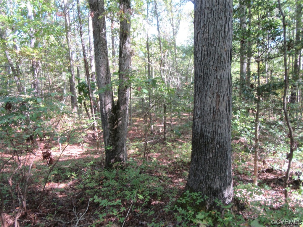 139-a-17 Bell Road Yale, VA 23897 - Photo 11 of 12 Gallery Image 11