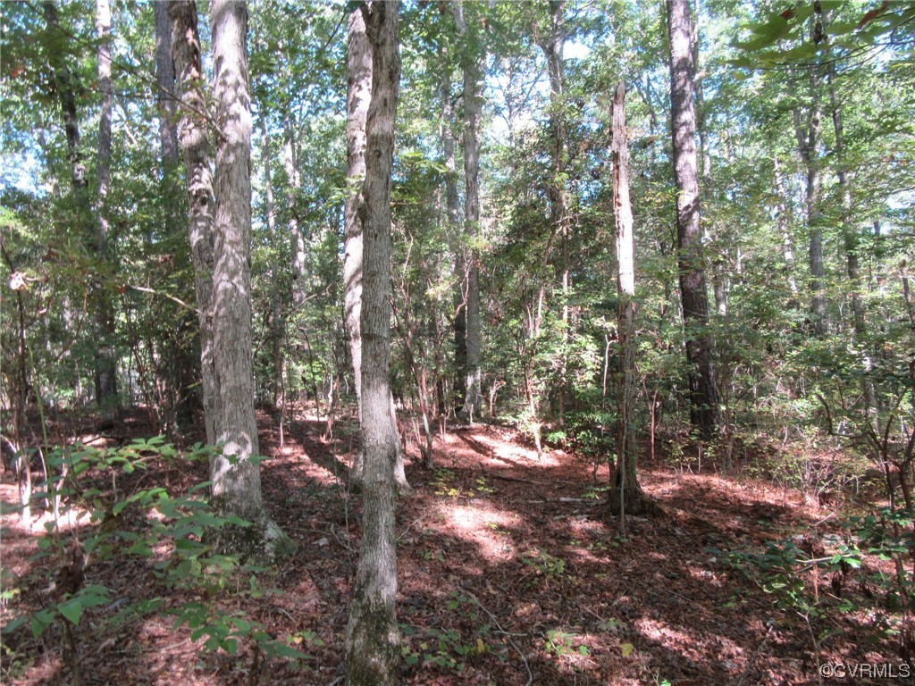 139-a-17 Bell Road Yale, VA 23897 - Photo 12 of 12 Gallery Image 12
