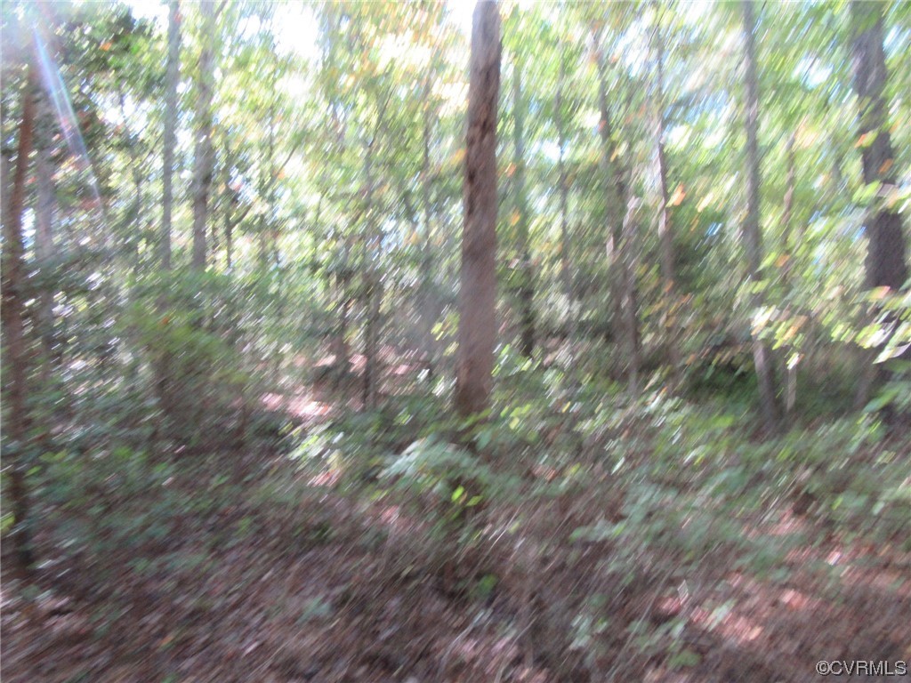 139-a-17 Bell Road Yale, VA 23897 - Photo 2 of 12 Gallery Image 2