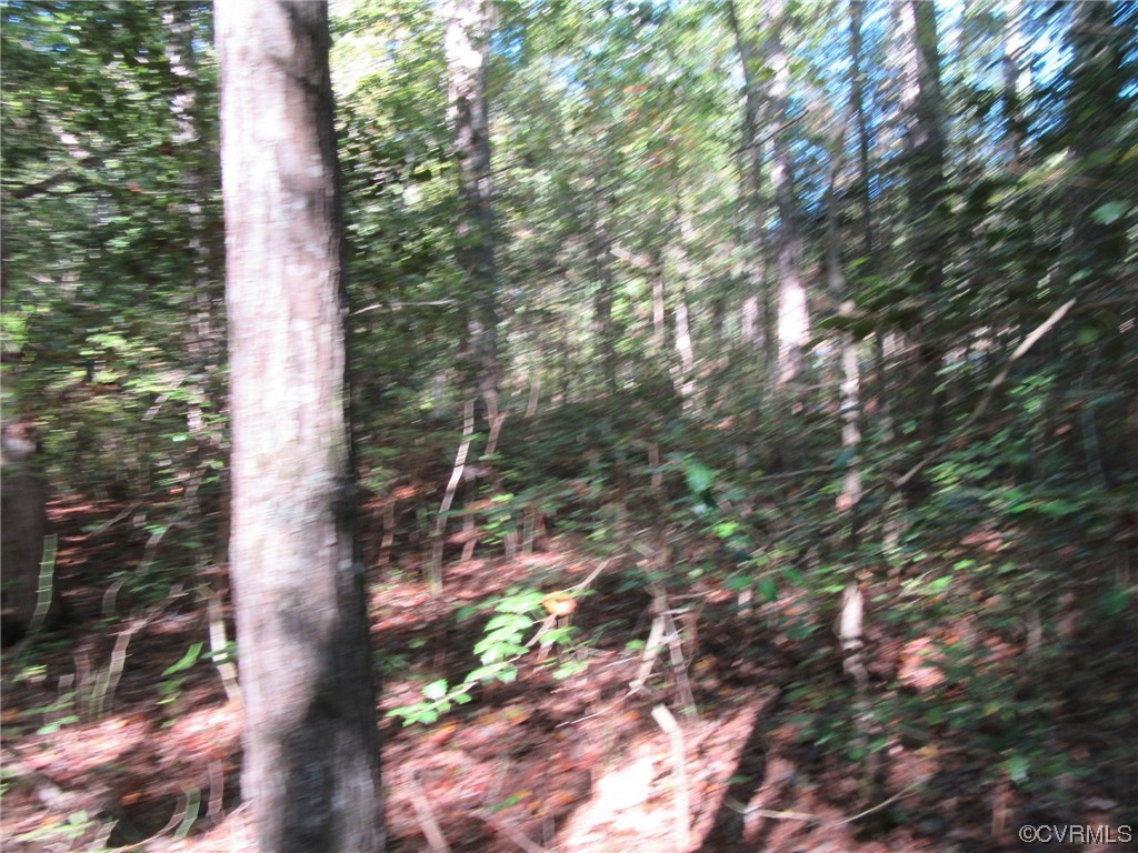 139-a-17 Bell Road Yale, VA 23897 - Photo 3 of 12 Gallery Image 3