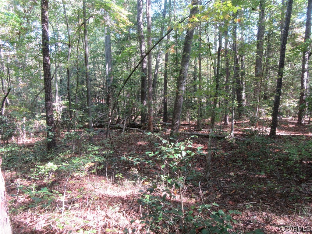 139-a-17 Bell Road Yale, VA 23897 - Photo 4 of 12 Gallery Image 4