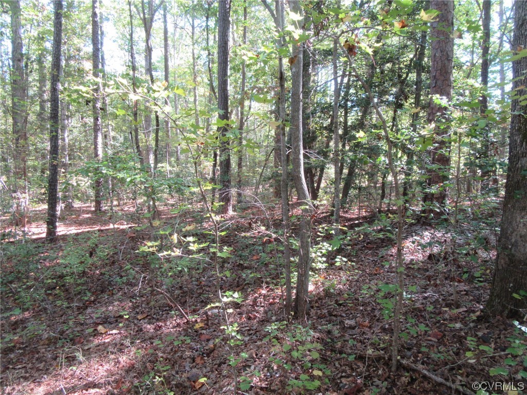 139-a-17 Bell Road Yale, VA 23897 - Photo 5 of 12 Gallery Image 5
