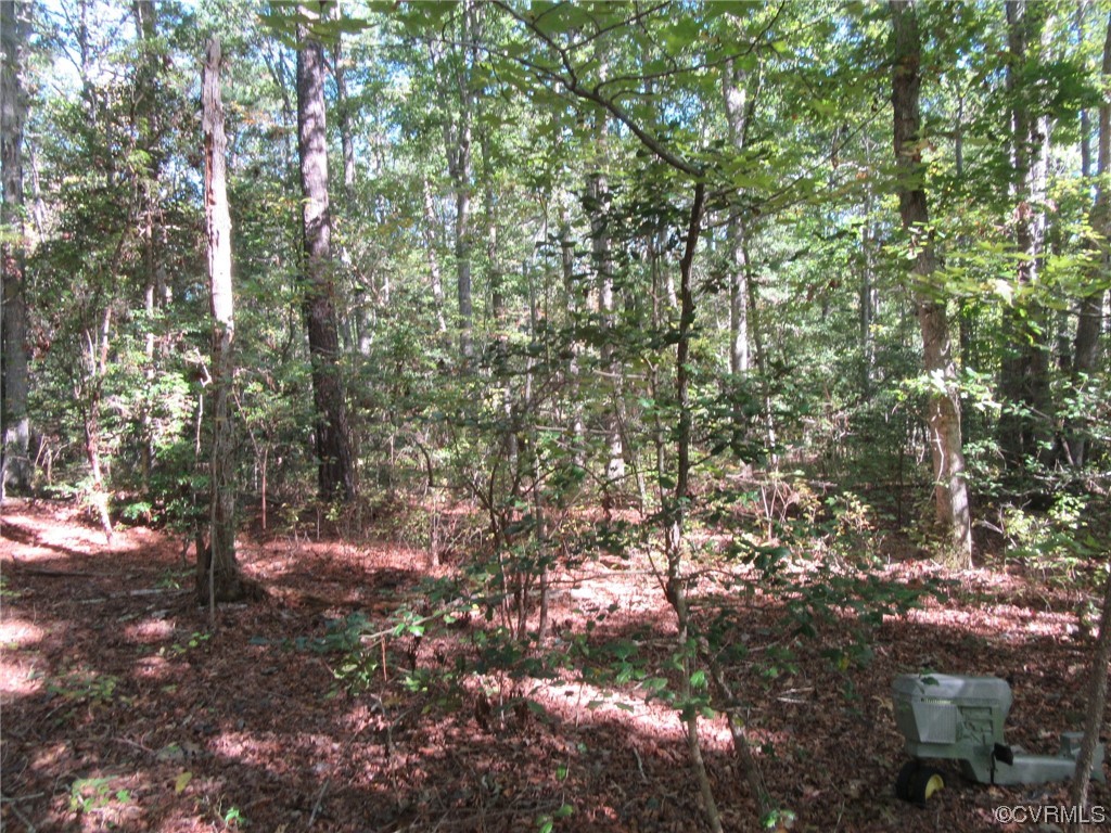 139-a-17 Bell Road Yale, VA 23897 - Photo 7 of 12 Gallery Image 7