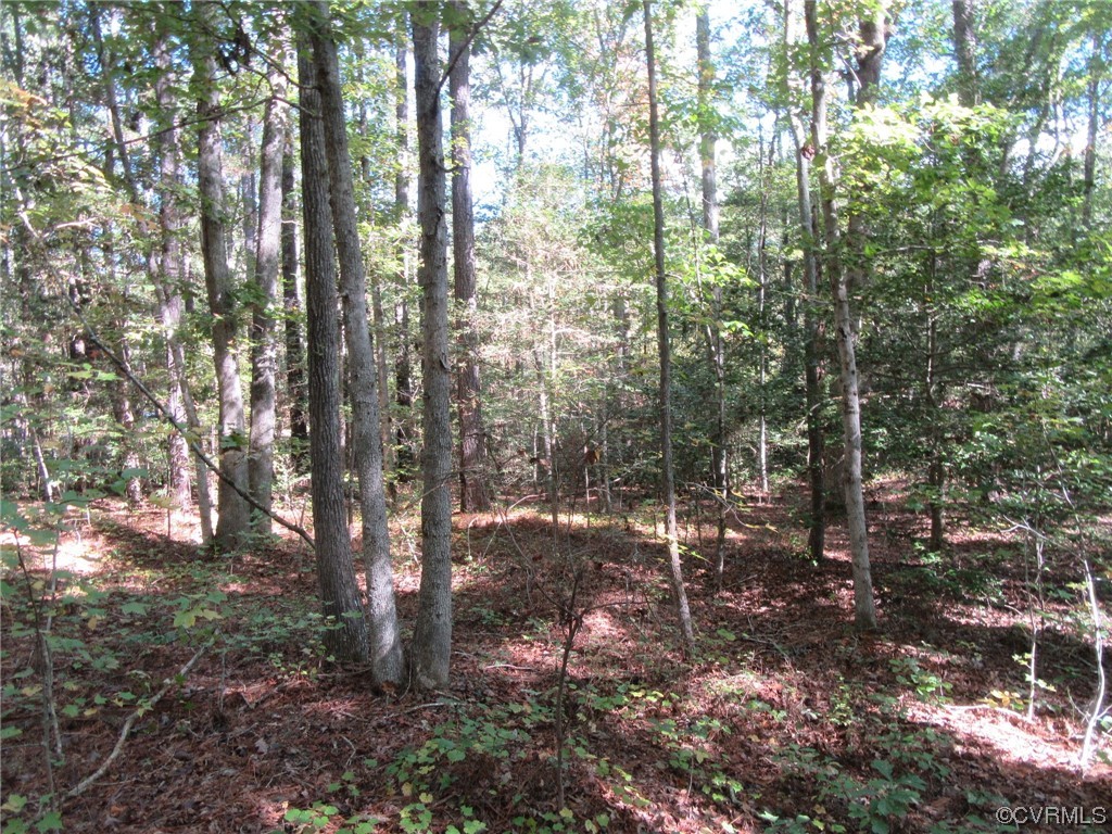 139-a-17 Bell Road Yale, VA 23897 - Photo 8 of 12 Gallery Image 8
