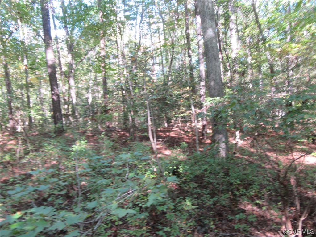 139-a-17 Bell Road Yale, VA 23897 - Photo 10 of 12 Gallery Image 10