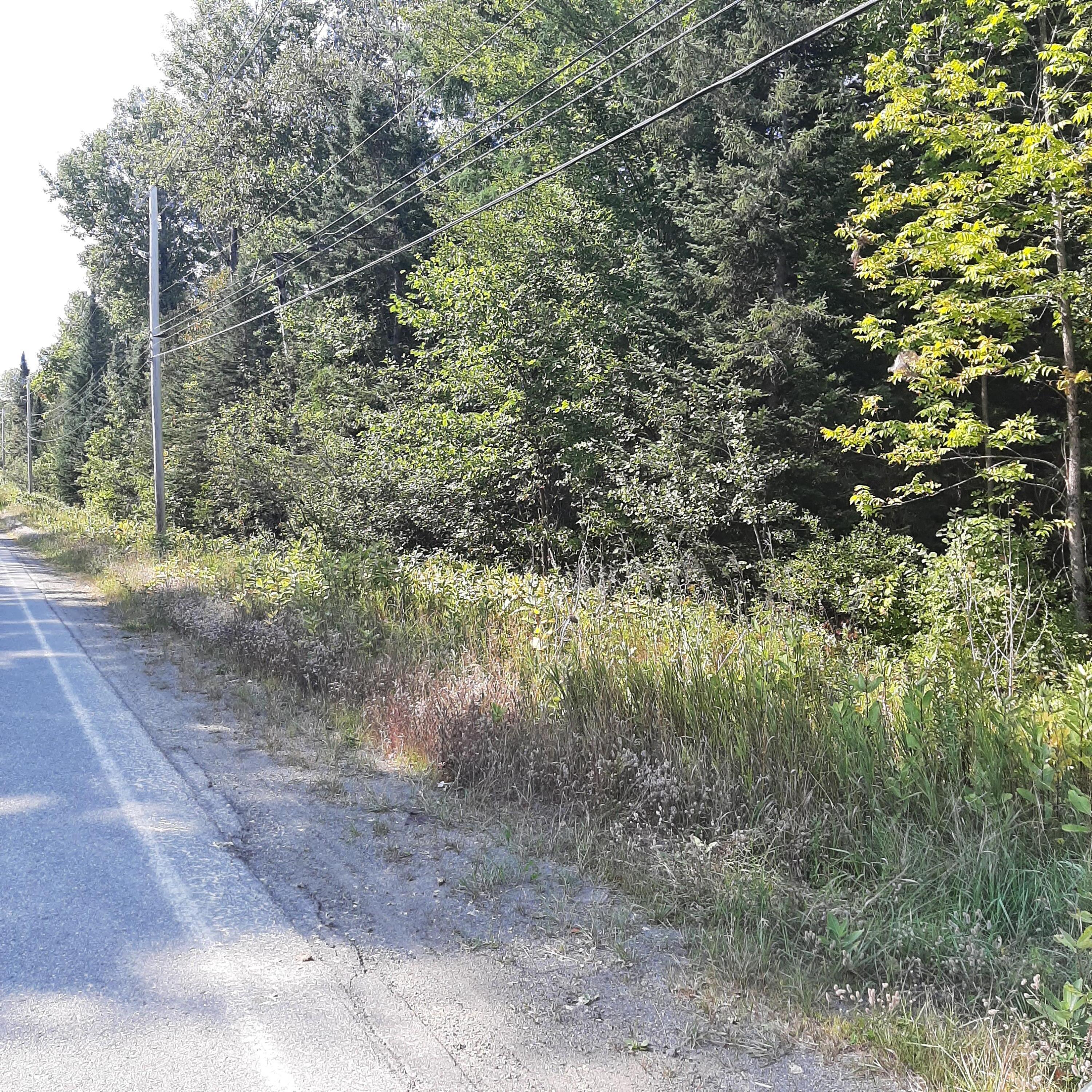 10-11 Grindstone Road Stacyville, ME 04777 - Photo 3 of 7 20220909_142712