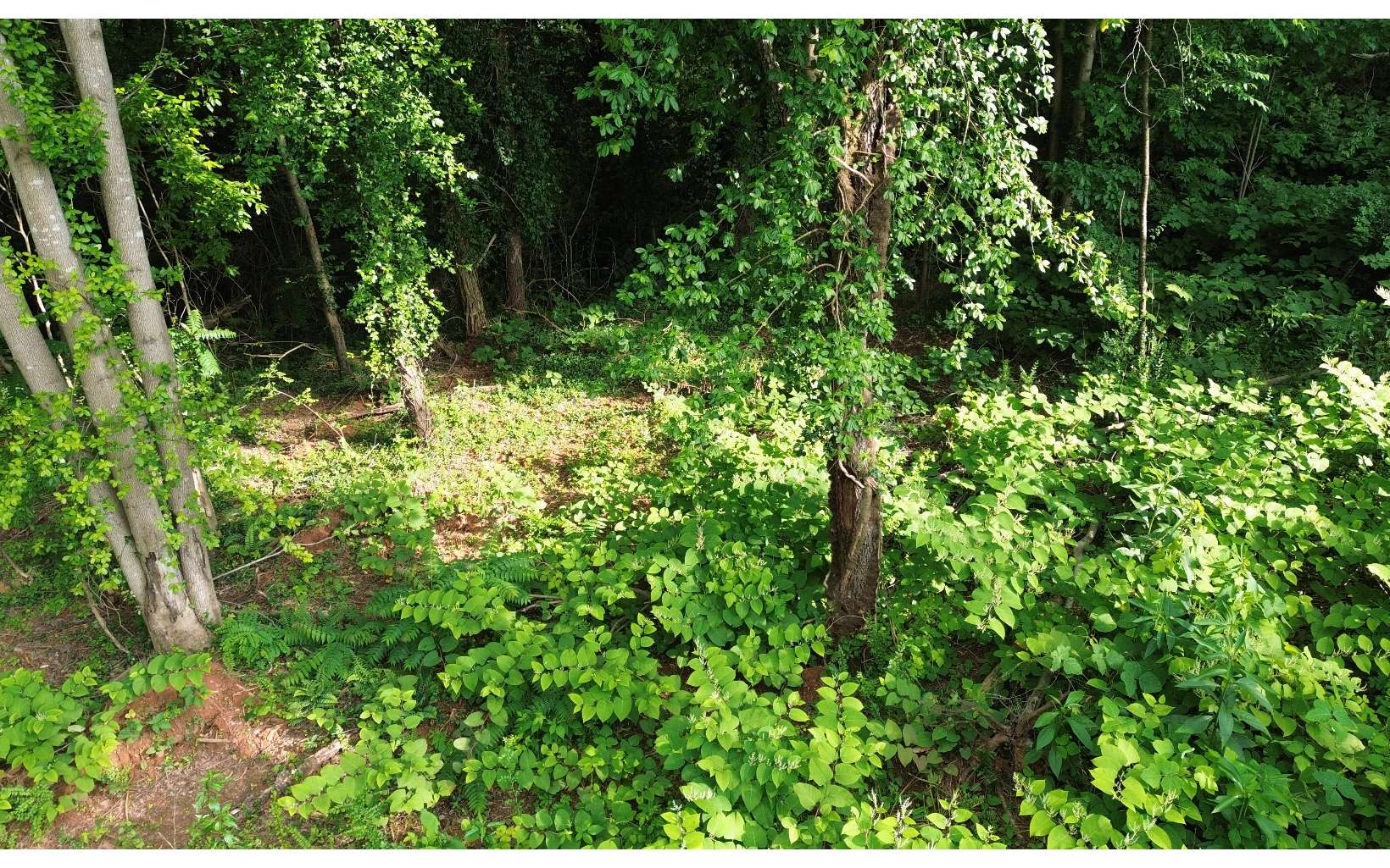 1.2-lot Cole Road Copperhill, TN 37317 - Photo 23 of 37 Additional View