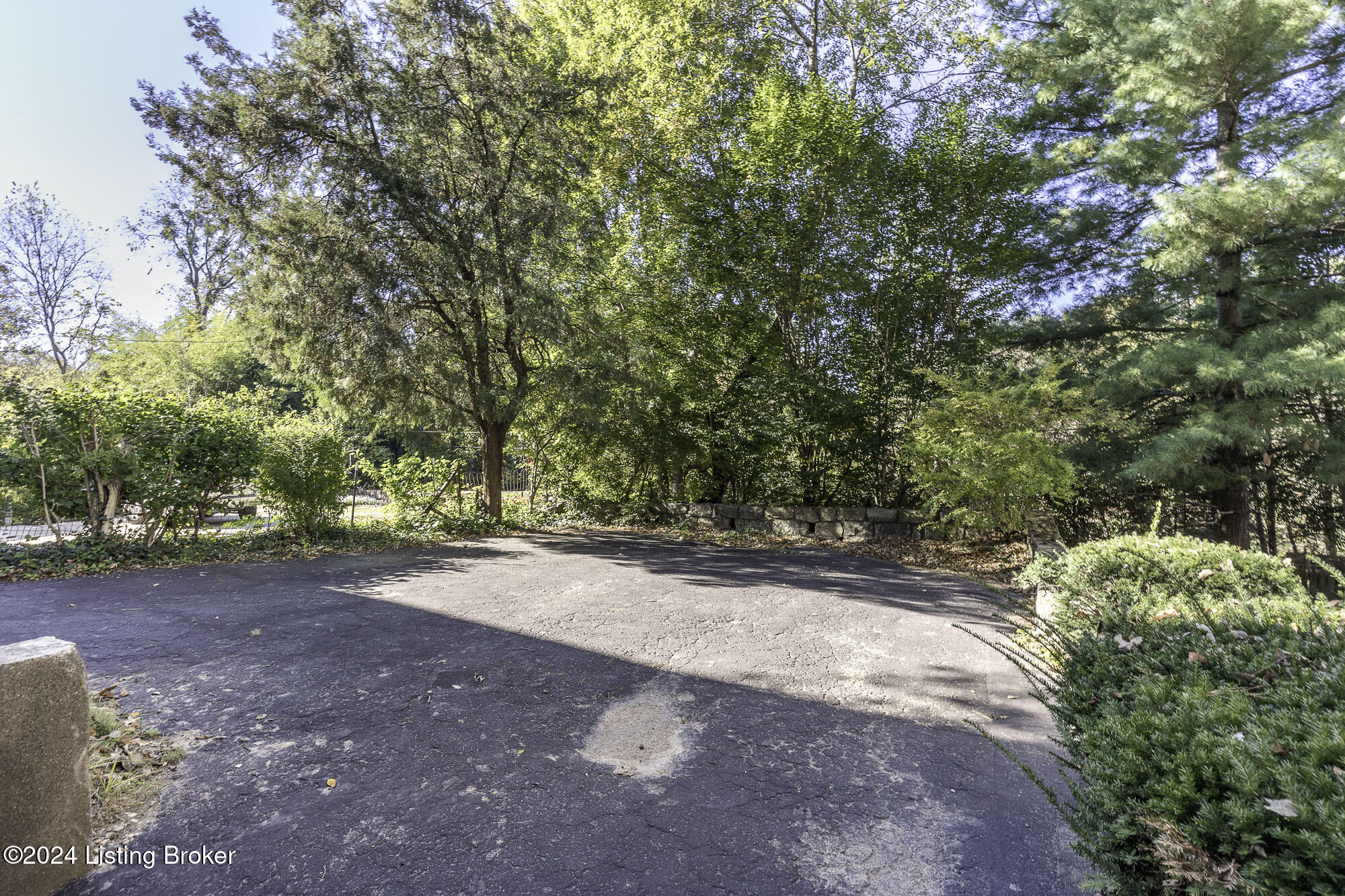2113 Edgehill Road Louisville, KY 40205 - Photo 30 of 32 Driveway